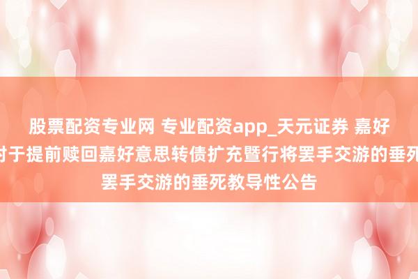 股票配资专业网 专业配资app_天元证券 嘉好意思包装: 对于提前赎回嘉好意思转债扩充暨行将罢手交游的垂死教导性公告