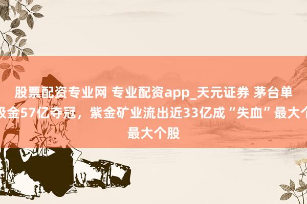 股票配资专业网 专业配资app_天元证券 茅台单日吸金57亿夺冠，紫金矿业流出近33亿成“失血”最大个股