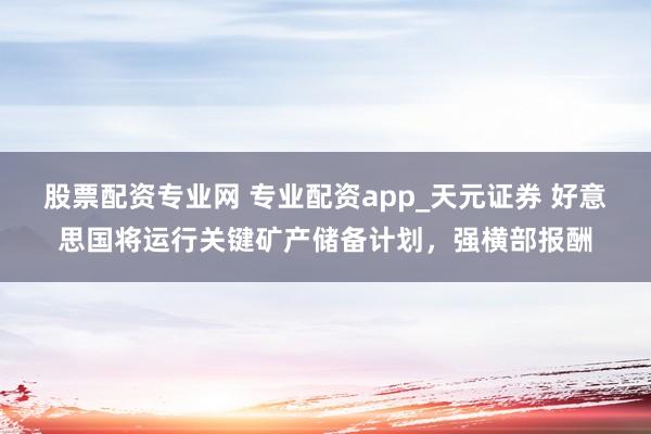 股票配资专业网 专业配资app_天元证券 好意思国将运行关键矿产储备计划，强横部报酬