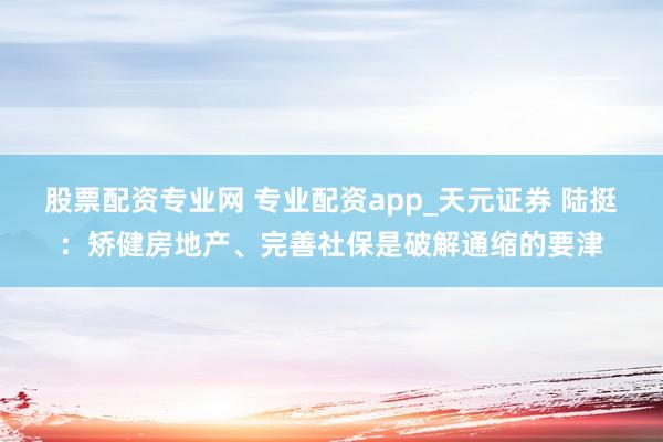 股票配资专业网 专业配资app_天元证券 陆挺：矫健房地产、完善社保是破解通缩的要津