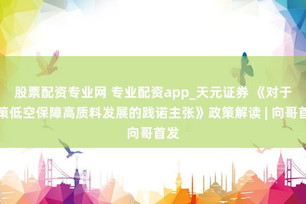 股票配资专业网 专业配资app_天元证券 《对于鞭策低空保障高质料发展的践诺主张》政策解读 | 向哥首发