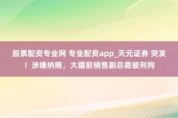股票配资专业网 专业配资app_天元证券 突发！涉嫌纳贿，大疆前销售副总裁被刑拘
