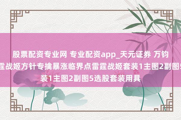 股票配资专业网 专业配资app_天元证券 万钧之势表示信雷霆战姬方针专擒暴涨临界点雷霆战姬套装1主图2副图5选股套装用具