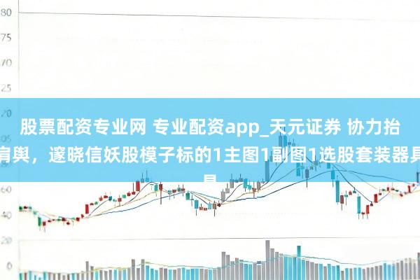 股票配资专业网 专业配资app_天元证券 协力抬肩舆，邃晓信妖股模子标的1主图1副图1选股套装器具