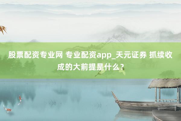 股票配资专业网 专业配资app_天元证券 抓续收成的大前提是什么？