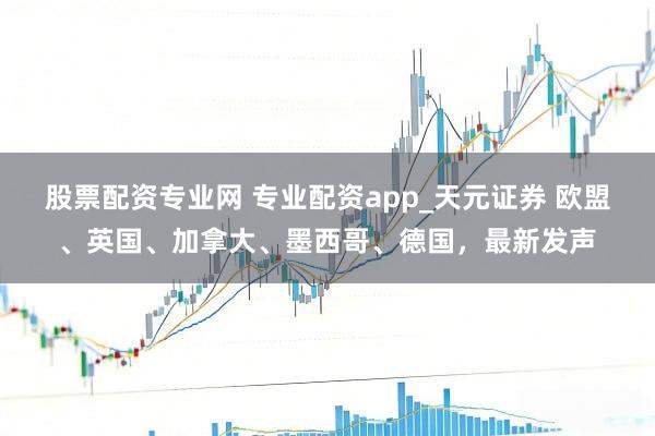 股票配资专业网 专业配资app_天元证券 欧盟、英国、加拿大、墨西哥、德国，最新发声