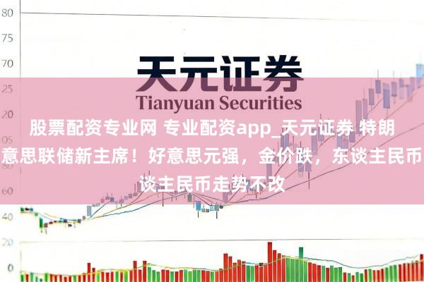 股票配资专业网 专业配资app_天元证券 特朗普提名好意思联储新主席！好意思元强，金价跌，东谈主民币走势不改