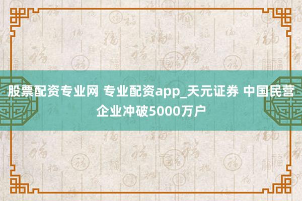 股票配资专业网 专业配资app_天元证券 中国民营企业冲破5000万户