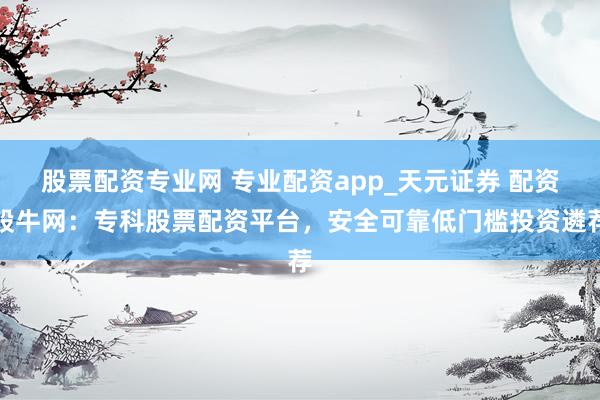 股票配资专业网 专业配资app_天元证券 配资股牛网：专科股票配资平台，安全可靠低门槛投资遴荐