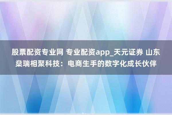 股票配资专业网 专业配资app_天元证券 山东燊瑞相聚科技：电商生手的数字化成长伙伴