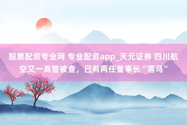 股票配资专业网 专业配资app_天元证券 四川航空又一高管被查，已有两任董事长“落马”