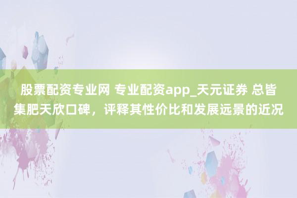 股票配资专业网 专业配资app_天元证券 总皆集肥天欣口碑，评释其性价比和发展远景的近况
