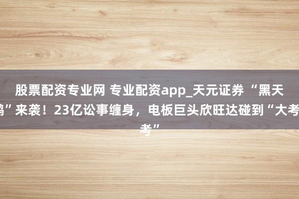 股票配资专业网 专业配资app_天元证券 “黑天鹅”来袭！23亿讼事缠身，电板巨头欣旺达碰到“大考”