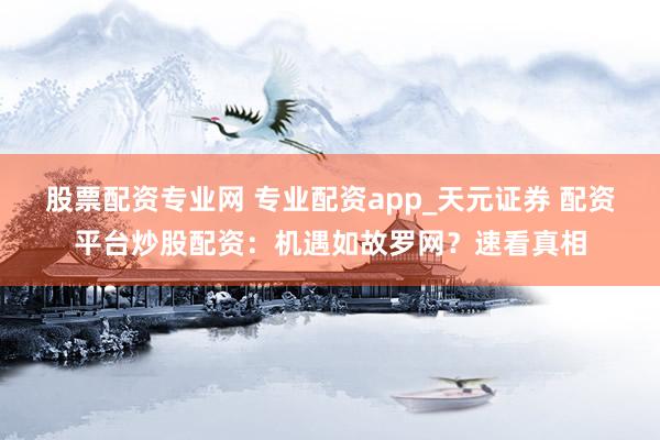 股票配资专业网 专业配资app_天元证券 配资平台炒股配资：机遇如故罗网？速看真相