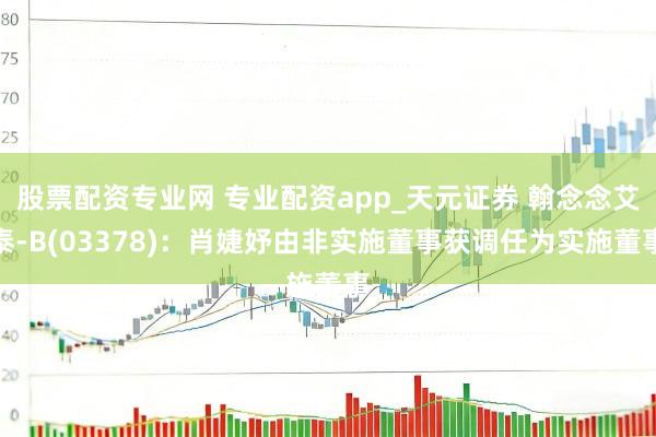 股票配资专业网 专业配资app_天元证券 翰念念艾泰-B(03378)：肖婕妤由非实施董事获调任为实施董事