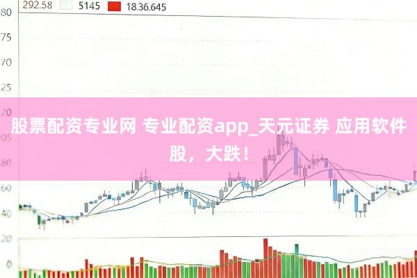 股票配资专业网 专业配资app_天元证券 应用软件股，大跌！