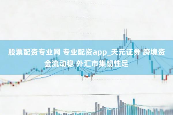 股票配资专业网 专业配资app_天元证券 跨境资金流动稳 外汇市集韧性足
