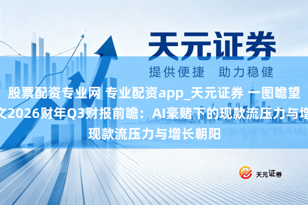 股票配资专业网 专业配资app_天元证券 一图瞻望 | 甲骨文2026财年Q3财报前瞻：AI豪赌下的现款流压力与增长朝阳