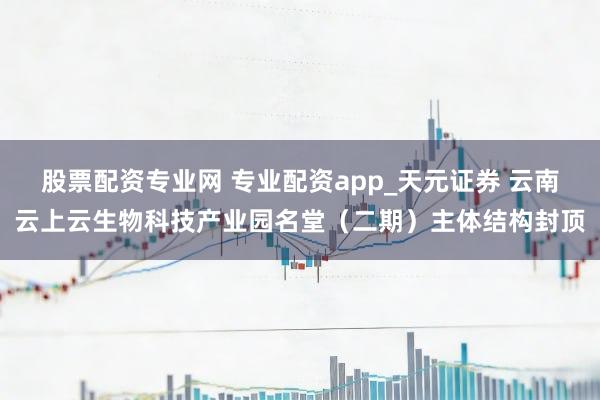 股票配资专业网 专业配资app_天元证券 云南云上云生物科技产业园名堂（二期）主体结构封顶
