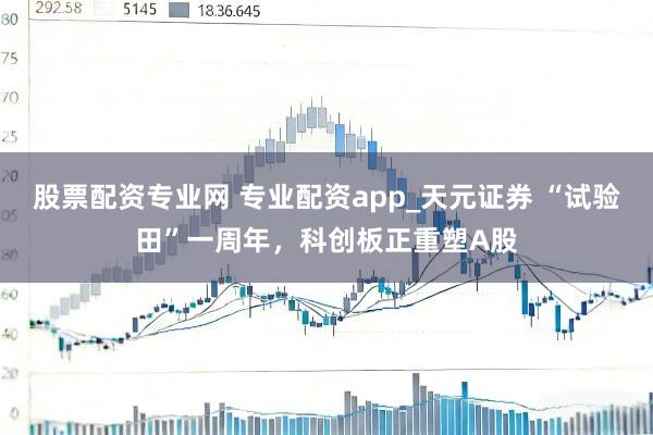 股票配资专业网 专业配资app_天元证券 “试验田”一周年，科创板正重塑A股