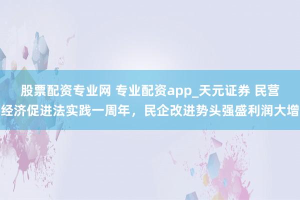 股票配资专业网 专业配资app_天元证券 民营经济促进法实践一周年，民企改进势头强盛利润大增